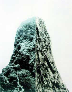 尚揚(yáng)《碑》　　這件作品體量頗大，達(dá)到了360cmX290cm，即使在普遍以大畫為主的一樓展廳里也頗為醒目。左半幅郁郁蔥蔥的山林與右半幅炭化皸裂的山體對比強(qiáng)烈，技法高超，超寫實的綜合材料制作方式讓人印象深刻，畫面可以從生態(tài)環(huán)保、二元哲學(xué)、時空觀、生命隱喻等多重角度進(jìn)行解讀，每個觀眾都可以容易地從中尋找自己的理解，或許正是因為這樣，許多觀眾選擇在這張作品前留影紀(jì)念。