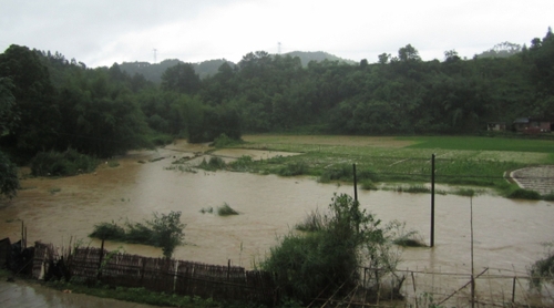 5月18日，在廣西昭平縣馬江鎮(zhèn)新興村，河水上漲淹沒(méi)部分農(nóng)田。