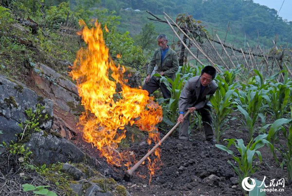 田地里劃根火柴能點燃-重慶巴南發(fā)現(xiàn)神秘氣體3
