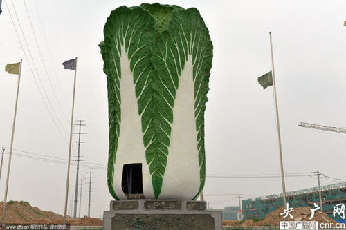 2014年06月16日，位于山東聊城農(nóng)產(chǎn)品物流交易中心北門的巨型“白菜”雕塑，“白菜”雕塑，高9米、直徑5.8米、重3噸，吸引不少市民圍觀。
