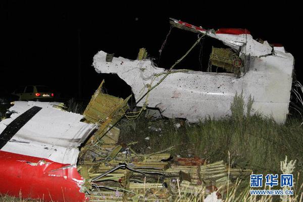 （國際）（1）直擊馬航MH17客機(jī)墜毀現(xiàn)場
