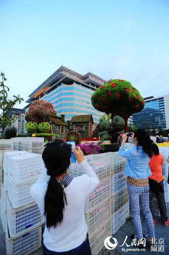 位于長(zhǎng)安街沿線(xiàn)的“和諧家園”立體花壇尚未布置完畢，市民游客已在觀(guān)賞留影。