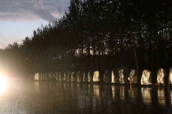 雨中行走。
