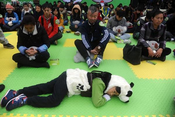 11月18日，首屆全國(guó)“發(fā)呆大賽”首站在成都寬窄巷子舉行。3