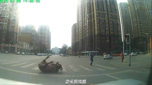 圖為民警連開4槍后，水牛仍在掙扎。