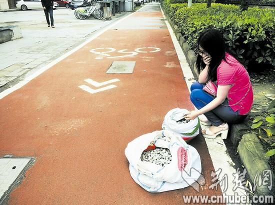 圖為：吳女士想把百余斤硬幣換成整錢，遭多家銀行推托 楚天都市報記者葉茂林?jǐn)z