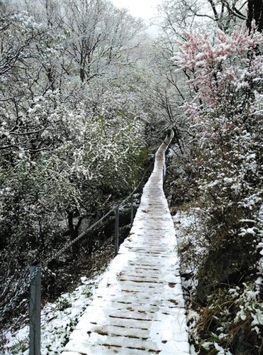 昨日中午，靈山上飄起小雪，至下午3點(diǎn)30分左右雪停。