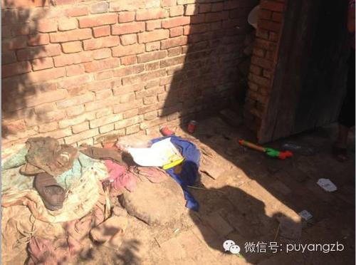 大門后面的墻角，就是小洪波一年四季的棲息地。