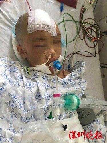 因偷拿家中錢(qián)，深圳羅湖桂園7歲女童莉莉（化名）被母親毆打，送醫(yī)時(shí)瞳孔放大、呈昏迷狀態(tài)。經(jīng)過(guò)緊急搶救，莉莉存活希望比較大，但仍處于昏迷狀態(tài)，目前正在重癥監(jiān)護(hù)室。羅湖警方表示，其母已經(jīng)被控制