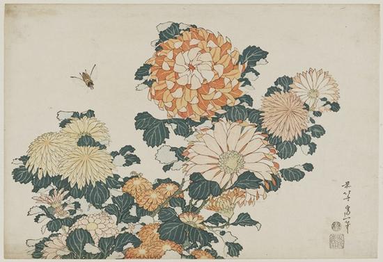 《菊花和馬蠅》，出自未命名的大型花卉系列 作者：葛飾北齋，年份：約1833-34年（Tenp? 4–5）  類別：浮世繪；紙本彩墨* William Sturgis Bigelow Collection* 圖片： ? Museum of Fine Arts, Boston