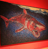 “保護(hù)鯊魚(yú)——藝術(shù)巡回展”開(kāi)幕