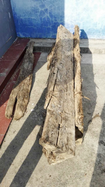挖出的文物，金絲楠木棺材板。支羽 攝