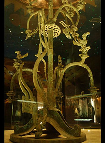 　20.秦嶺神樹(shù)