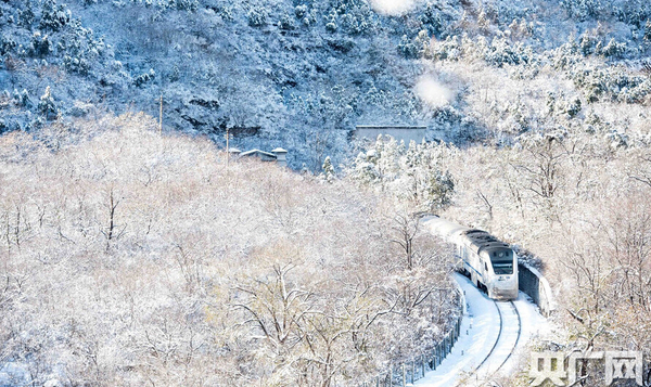 昌平區(qū)居庸關(guān)長城風(fēng)景區(qū)周邊山崗銀裝素裹，陣陣?yán)滹L(fēng)擋不住雪后美景。一列“雪國列車”穿越居庸關(guān)，如一條“銀蛇”美到窒息。
