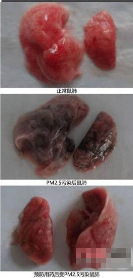 霧霾謠言大起底 你能識(shí)破多少個(gè)？