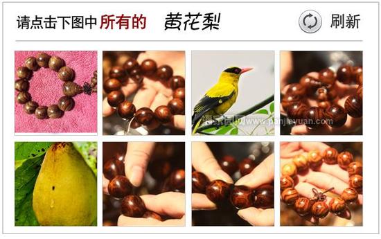 驗(yàn)證碼錯(cuò)誤，請(qǐng)看正確答案！