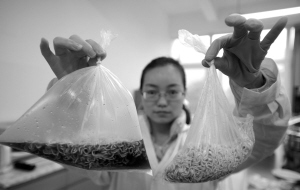 食品袋內(nèi)的方便面加入可樂(lè)后產(chǎn)生大量氣泡，袋子很快膨脹