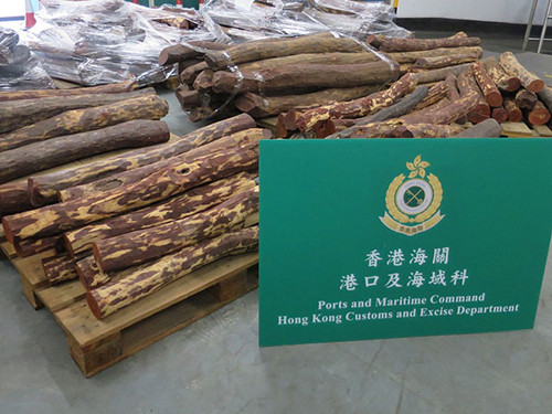 香港海關(guān)檢獲的走私瀕危木材。