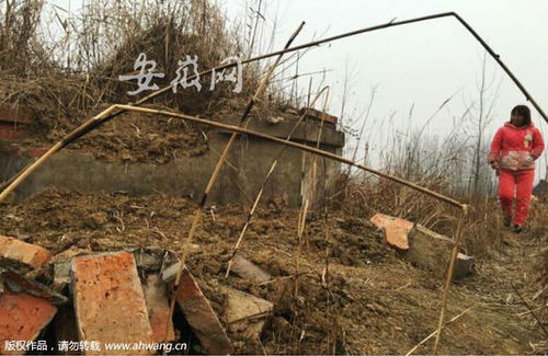 墓地有明顯被挖動(dòng)的痕跡。