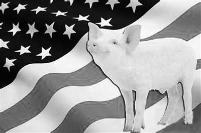 瘦肉精引發(fā)口水戰(zhàn)“英倫”斗法為何拿美豬開刀？