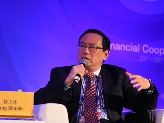 中國財政部官員楊少林出任世界銀行常務(wù)副行長