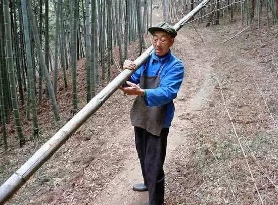 酷斃了！孫子給85歲爺爺拍了一組街拍照
