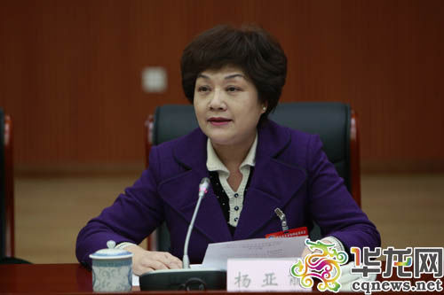 提案牽頭單位民建重慶市委介紹提案情況。