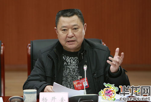 參會(huì)的市政協(xié)委員依次發(fā)言。