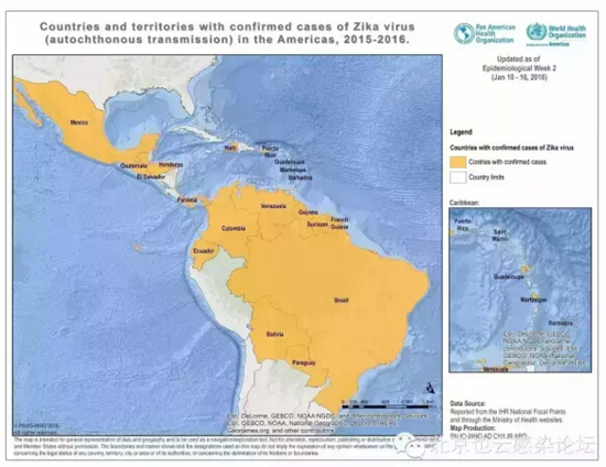 寨卡病毒（Zika）感染到底是什么？