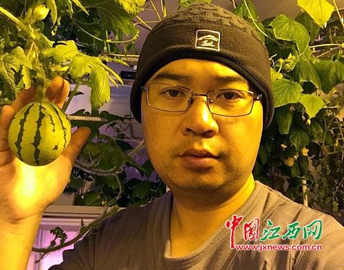 江西醫(yī)生在南極種出蔬菜（圖）