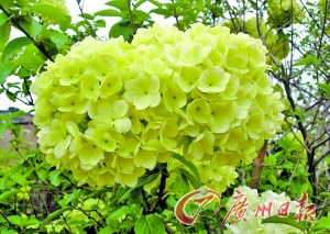 點(diǎn)擊進(jìn)入下一頁(yè)