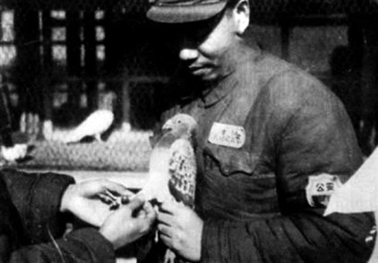 點(diǎn)擊進(jìn)入下一頁