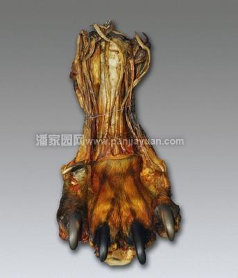 虎骨、熊骨