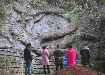 昨天下午，不少當(dāng)?shù)厥忻衲矫麃砜词?。京華時(shí)報(bào)記者陶冉攝