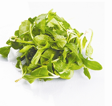 春天野菜多 都有什么營(yíng)養(yǎng)價(jià)值？