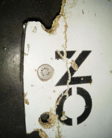 在莫桑比克新發(fā)現(xiàn)的物塊大約有一米長(zhǎng)。