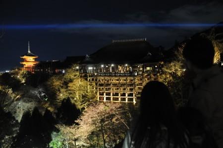 日本京都市的清水寺在春季夜間特別參觀正式開始之前進(jìn)行試亮燈，剛剛開放的櫻花與“清水舞臺”一同浮現(xiàn)在春天的夜色之中。