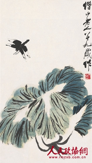 《白菜蜻蜓》