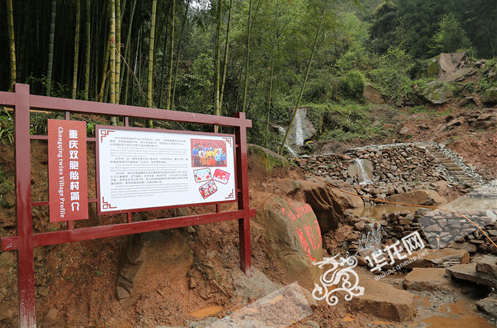 爺孫三代都是雙胞胎！重慶一個(gè)村出了39對(duì)雙胞胎待解謎