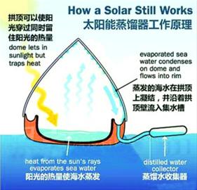 假如被困海上 該選擇喝尿還是喝海水？