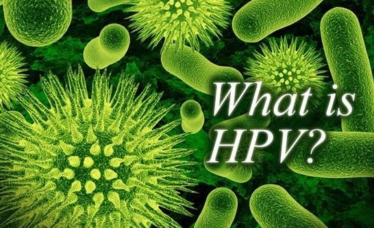 付虹：HPV感染會(huì)導(dǎo)致不孕需斥巨資治療？