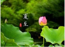 今日夏至 夏至之后日常養(yǎng)生有何妙招？