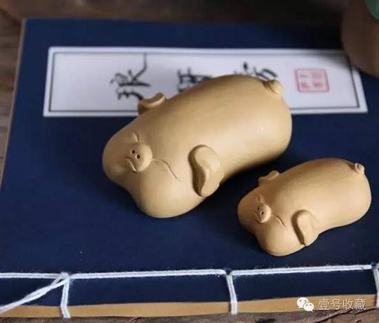 茶寵買回來要先開水煮幾個(gè)小時(shí)