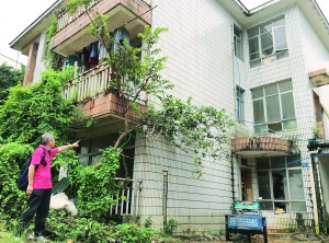 圖片　　金伯告訴記者，新別墅建好后他在陽臺前種了棵番石榴樹。如今樹已長成，但金伯卻依然未能收樓入住。