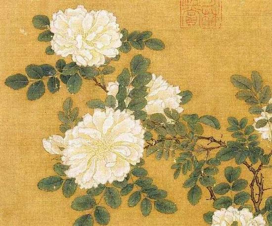 《白薔薇圖頁(yè)》 宋，馬遠(yuǎn)，絹本設(shè)色，26.2cm×25.8cm