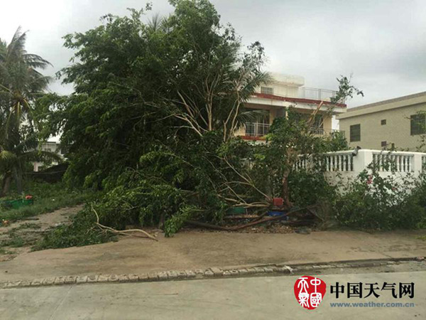臺風(fēng)“銀河”襲海南海陸交通受阻 風(fēng)雨明天結(jié)束