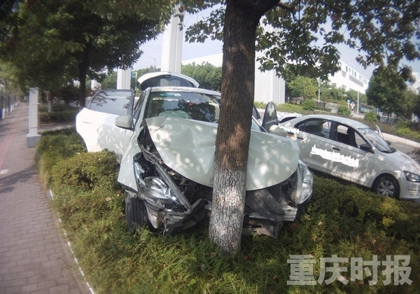 水簾遮住了駕駛員的視線，轎車(chē)撞在了樹(shù)上
