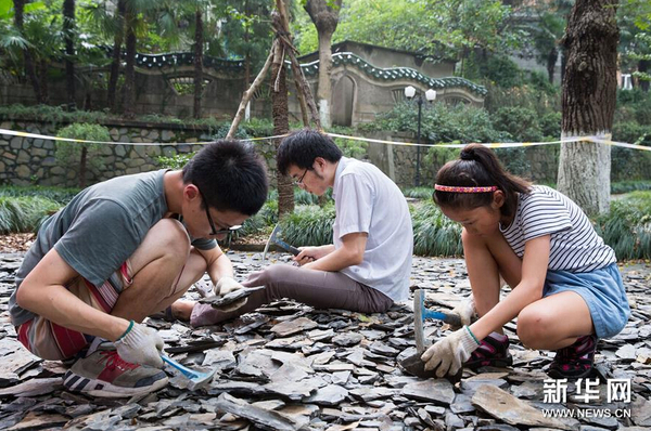8月21日，市民在南京古生物博物館參加“砸化石”活動。1