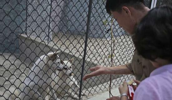 朝鮮平壤動(dòng)物園里啥模樣？“狗屋”是最熱門景點(diǎn)