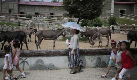 朝鮮平壤動(dòng)物園里啥模樣？“狗屋”是最熱門景點(diǎn)